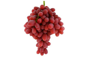 Abhinav Grapes Exports