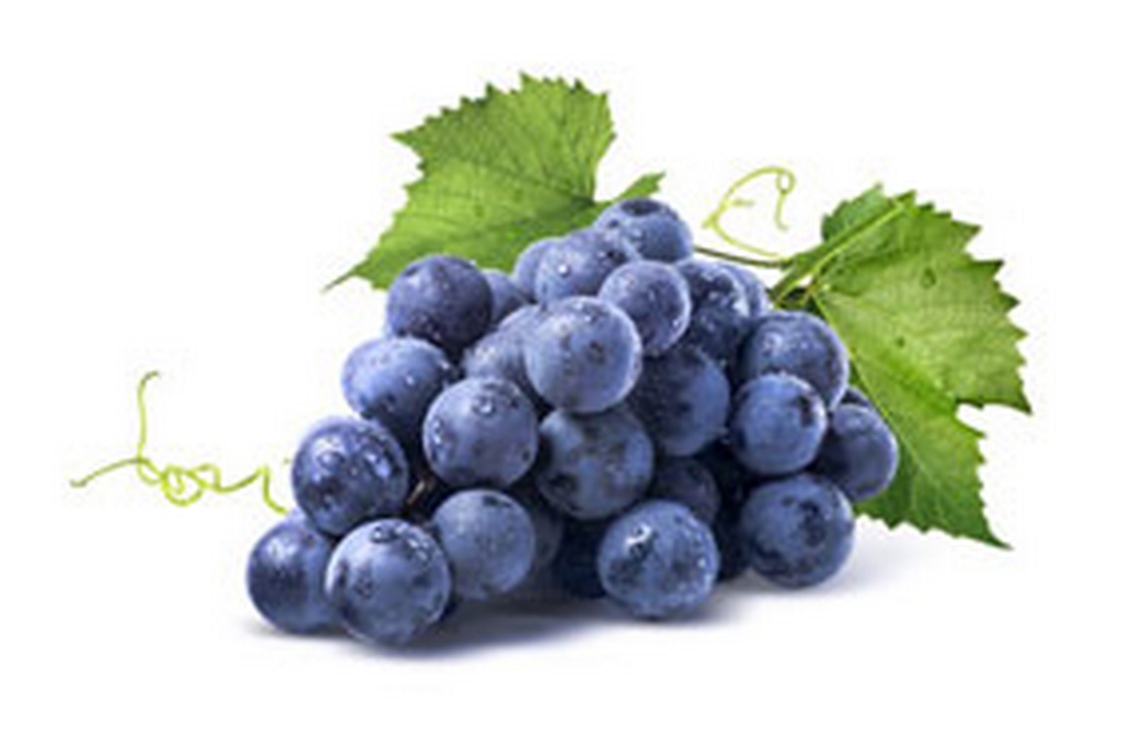 Abhinav Grapes export