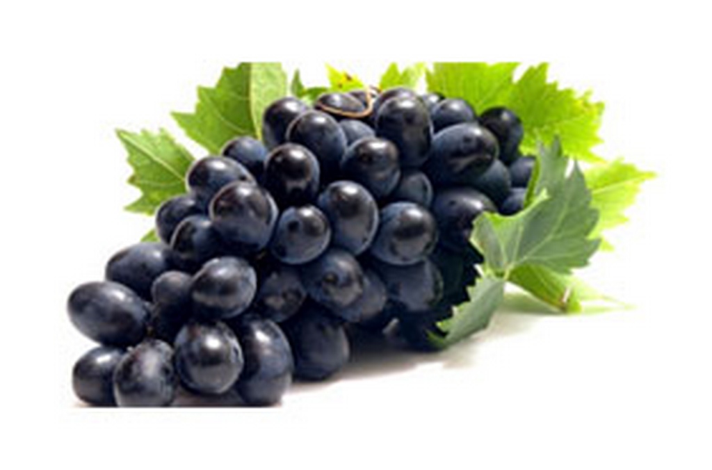 Abhinav Grapes export