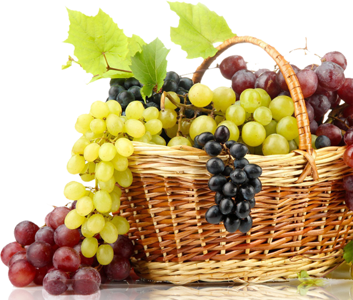 Abhinav Grapes Exports