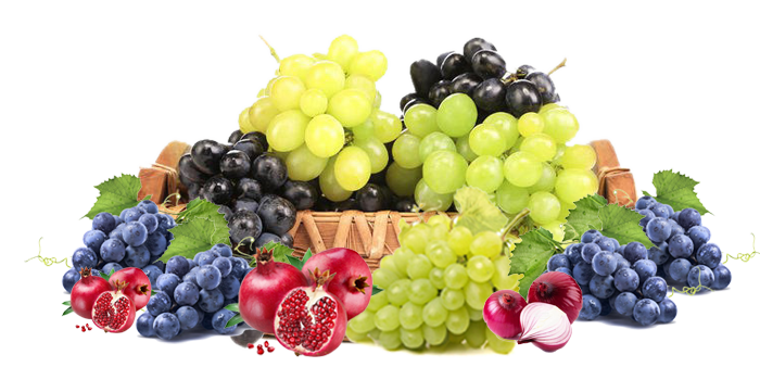 Abhinav Grapes foods