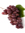 Abhinav Grapes exports